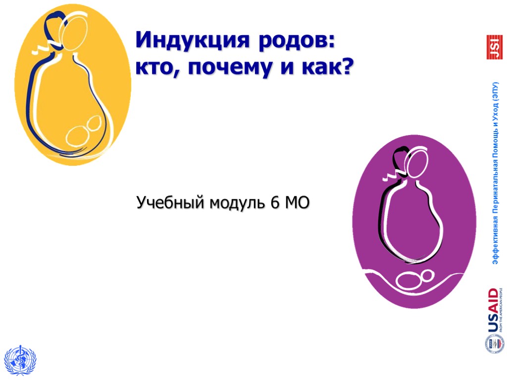 Учебный модуль 6 МО Индукция родов: кто, почему и как?